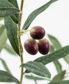 Tall Artificial Potted Olive Tree - The Farthing
