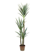 Tall Faux Green Yucca Plant - The Farthing