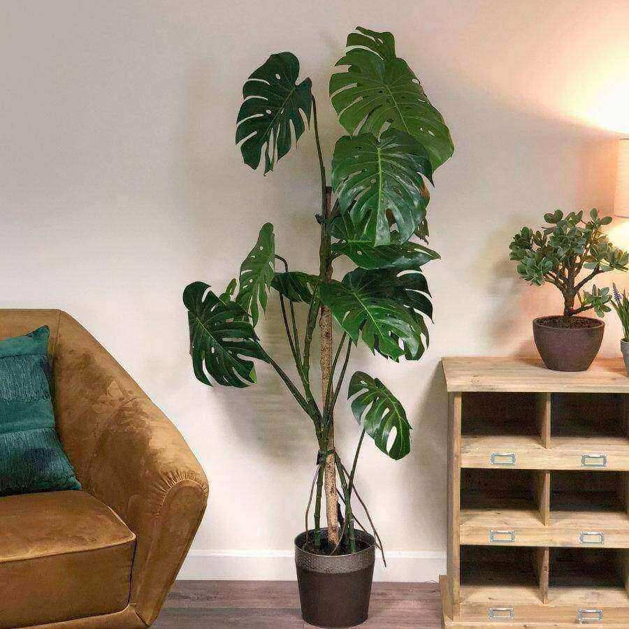 Tall Faux Monstera Tree - The Farthing