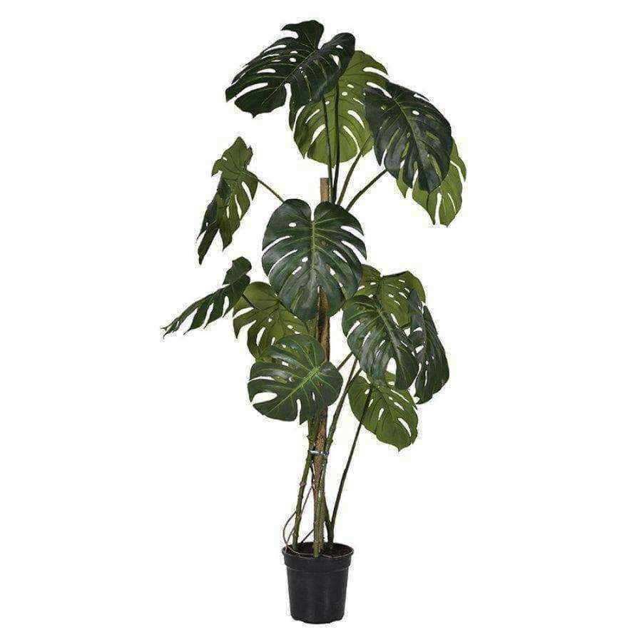 Tall Faux Monstera Tree - The Farthing