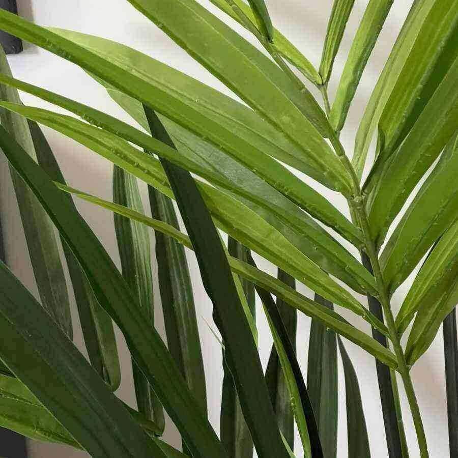 Faux Tall Kentia Palm Plant - The Farthing