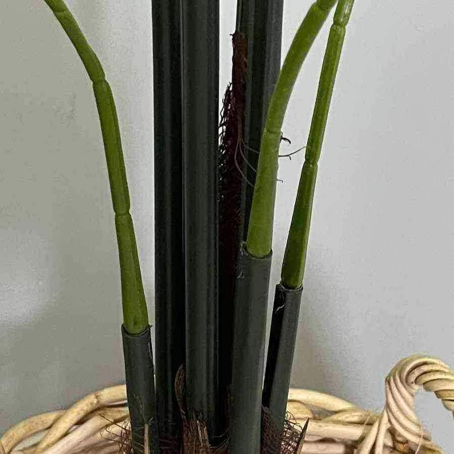 Faux Tall Kentia Palm Plant - The Farthing