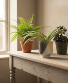 Tri Coloured Ceramic Glazed Plant Pot - The Farthing