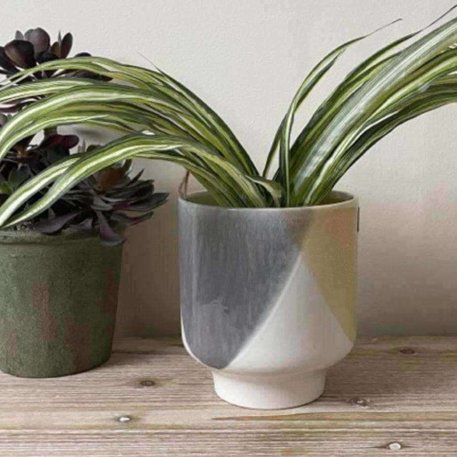 Tri Coloured Ceramic Glazed Plant Pot - The Farthing