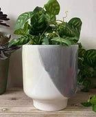 Tri Coloured Ceramic Glazed Plant Pot - The Farthing