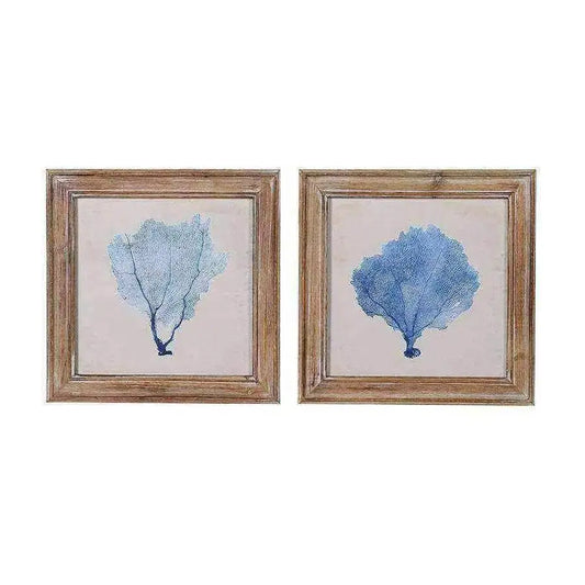 Vintage Framed Coral Illustrations - set of two - The Farthing