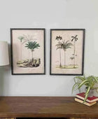 Vintage Palm Tree Illustrations - set of two - The Farthing
