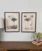 Vintage Palm Tree Illustrations - set of two - The Farthing