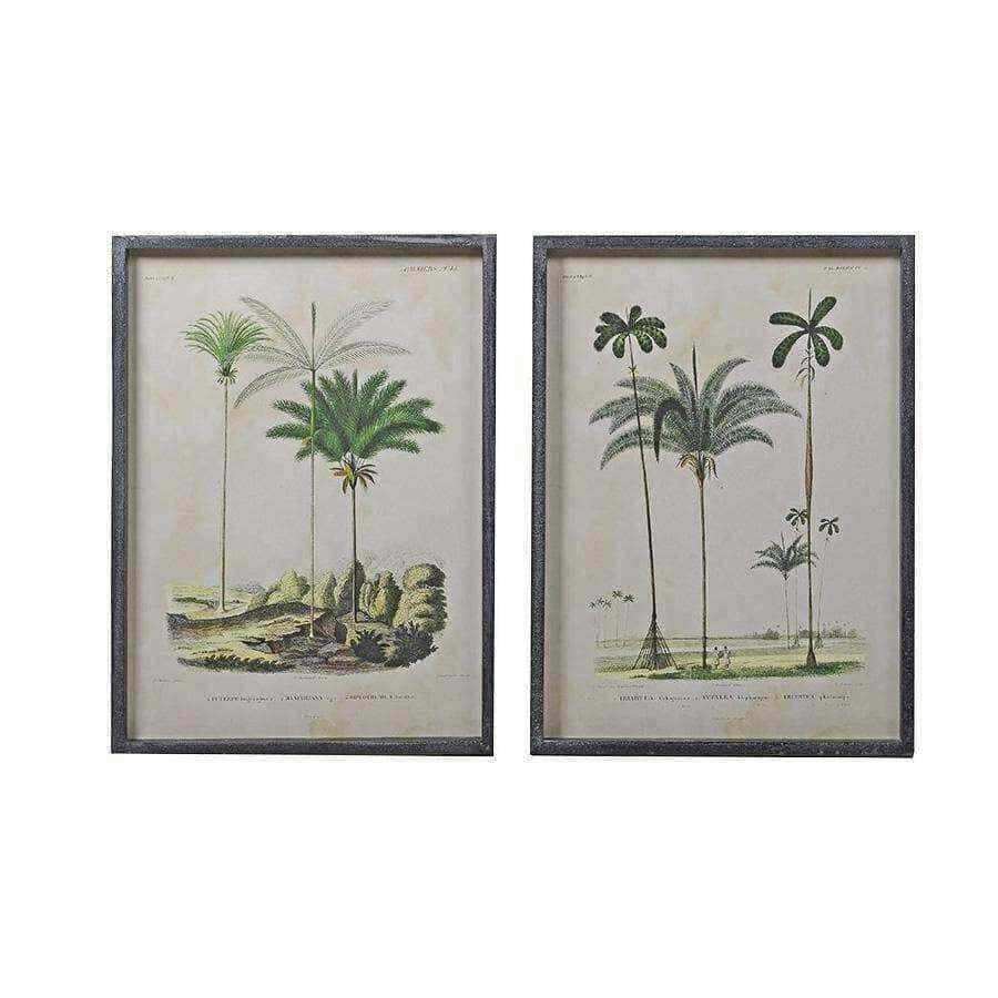 Vintage Palm Tree Illustrations - set of two - The Farthing