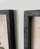 Vintage Palm Tree Illustrations - set of two - The Farthing