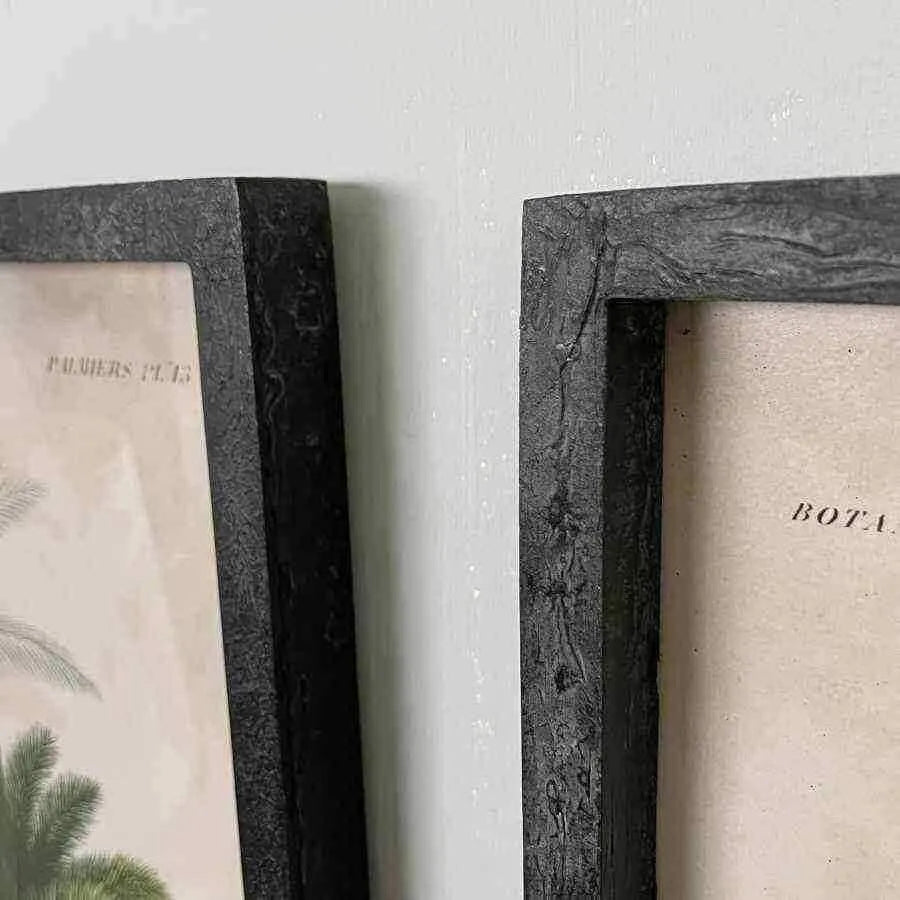 Vintage Palm Tree Illustrations - set of two - The Farthing
