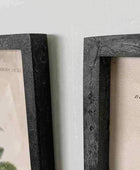 Vintage Palm Tree Illustrations - set of two - The Farthing