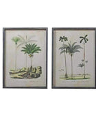 Vintage Palm Tree Illustrations - set of two - The Farthing