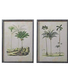 Vintage Palm Tree Illustrations - set of two - The Farthing