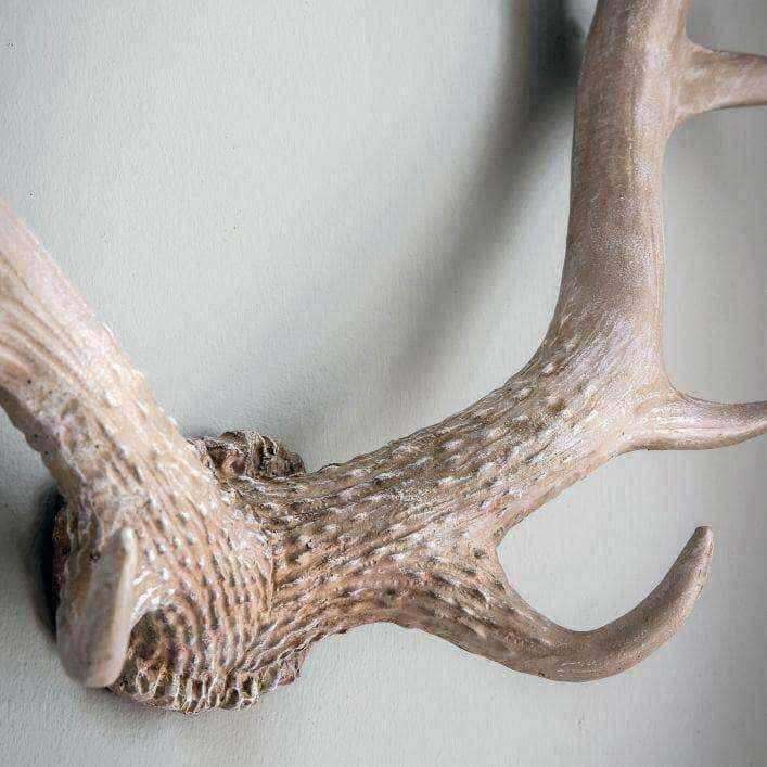 Weathered Antler Wall Art Decoration - The Farthing