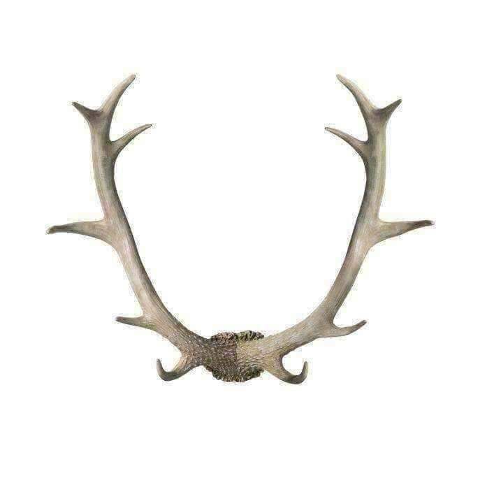 Weathered Antler Wall Art Decoration - The Farthing